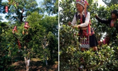 կնڸص
